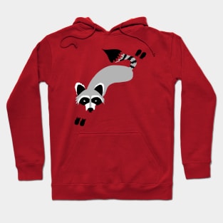 Robby Raccoon Hoodie